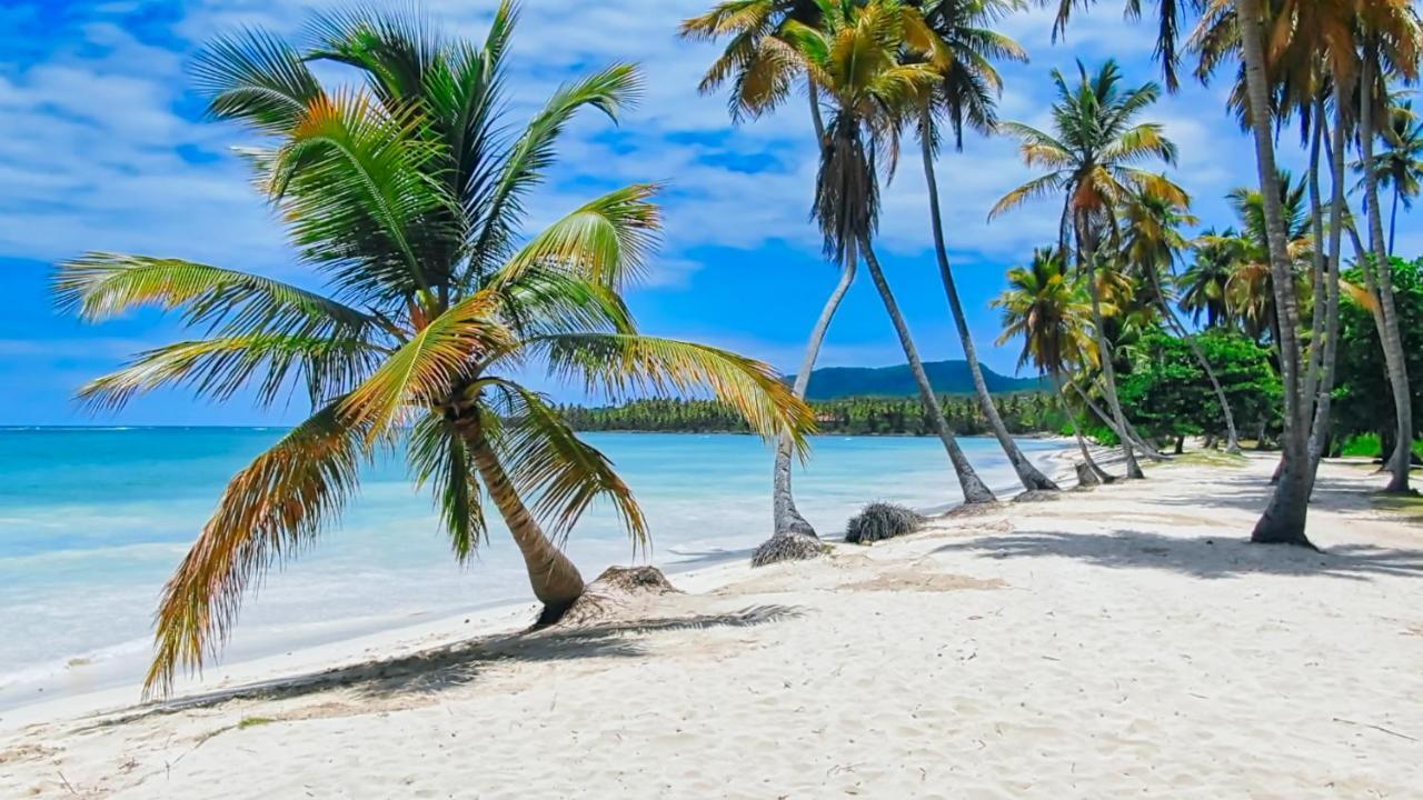 Villas Paradiso Bio-Resort Las Galeras Extérieur photo